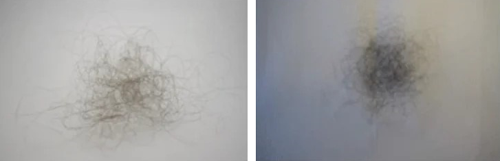 100 hair strands in a person with short hair (left) and long hair (right)