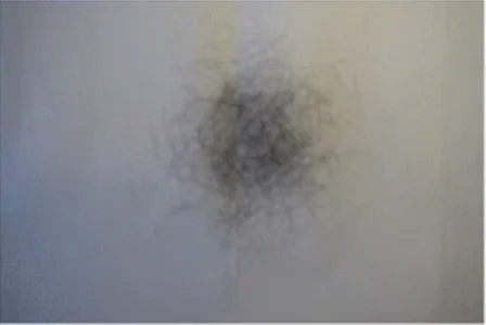 what 100 hairs looks like from a person with long hair