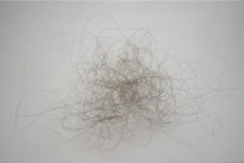 what 100 hairs looks like in short hair