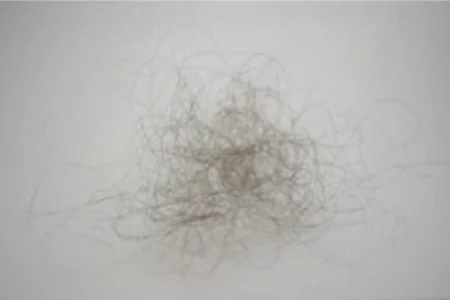 what 100 hairs look like from a person with short hair