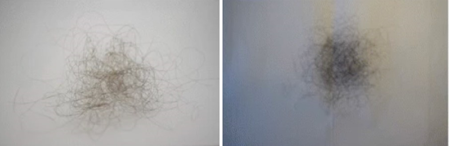 Visual representation of 100 lost hairs for people with short hair (left) and individuals with long hair (right)