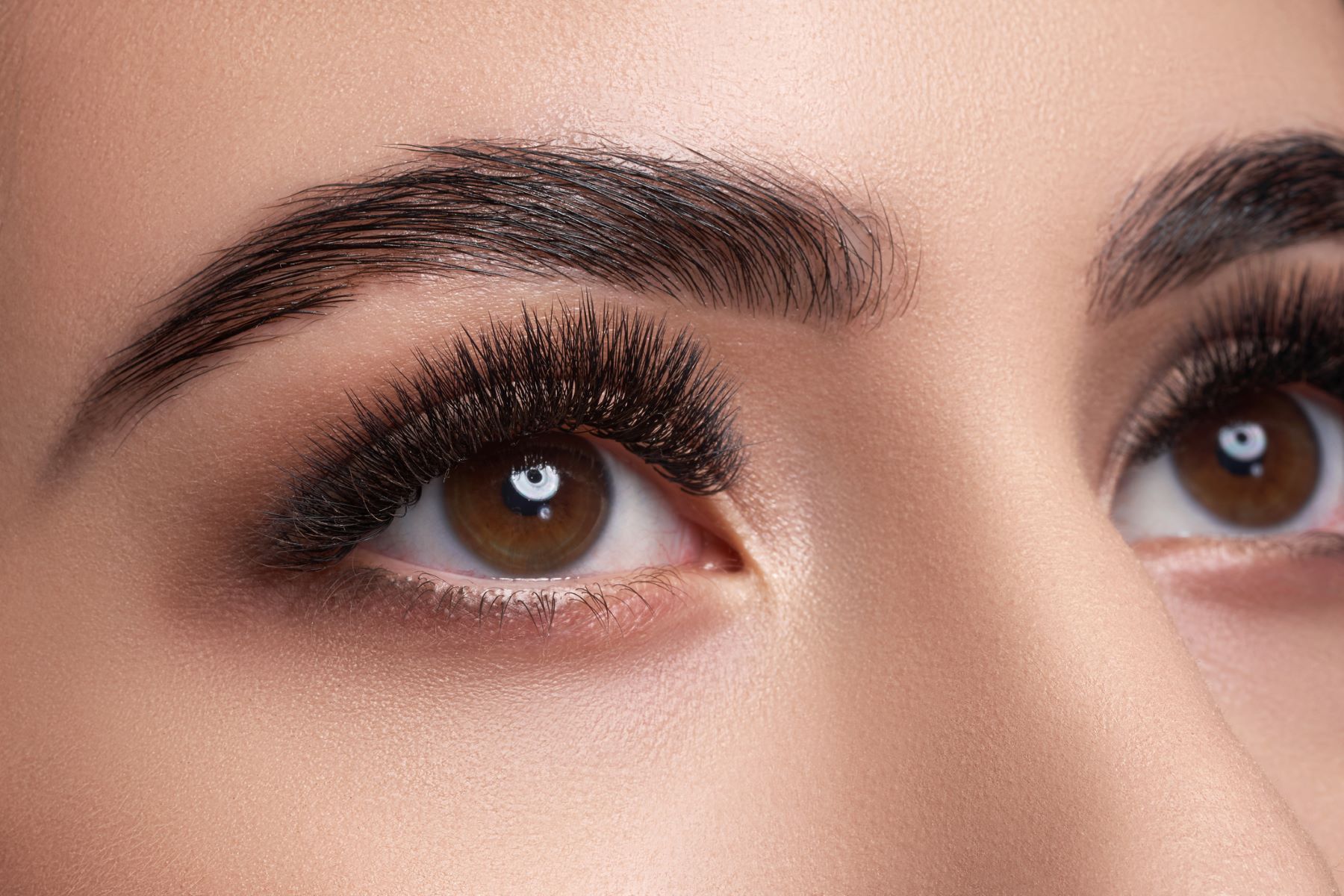 Can you get fuller eyebrows from an eyebrow transplant?