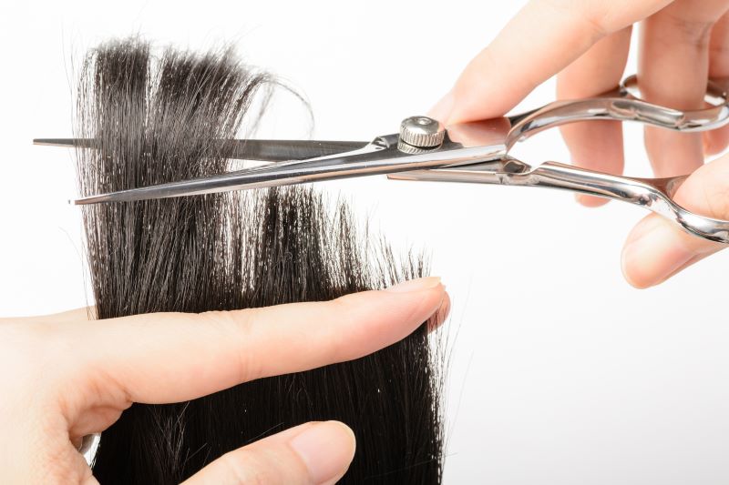 Cutting hair will make it grow back thicker myth