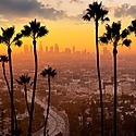 Hair Transplant Los Angeles Cost: Complete Analysis 2025