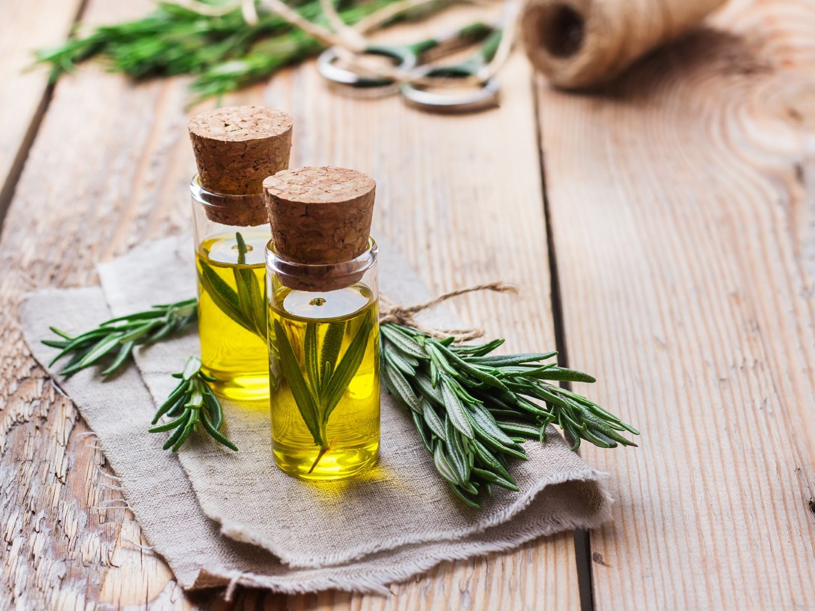 Rosemary essential oil for hair loss