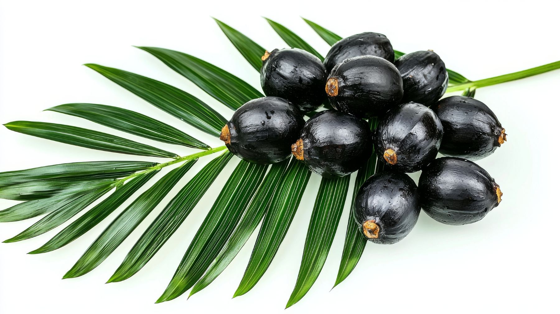 saw palmetto for hair loss