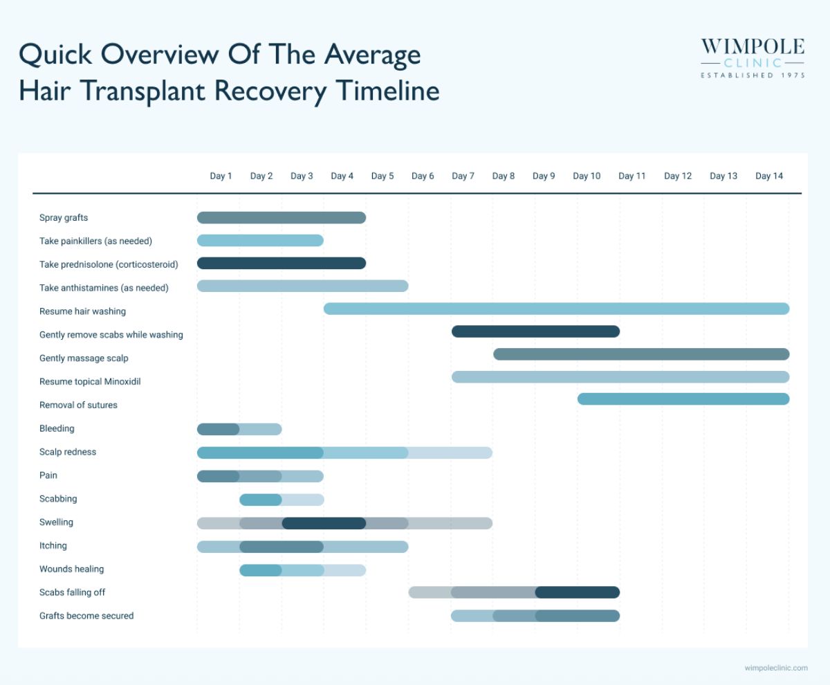 Hair transplant recovery timeline infographic