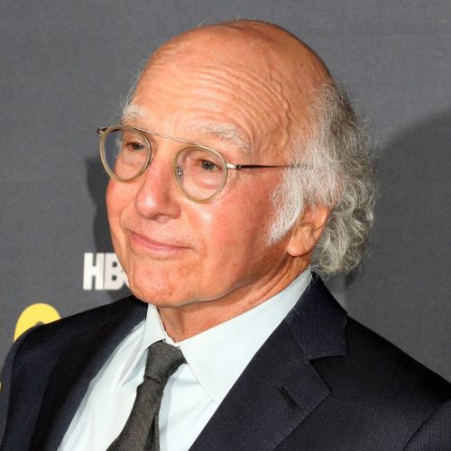 Larry David 2024