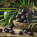 Saw Palmetto And Hair Loss