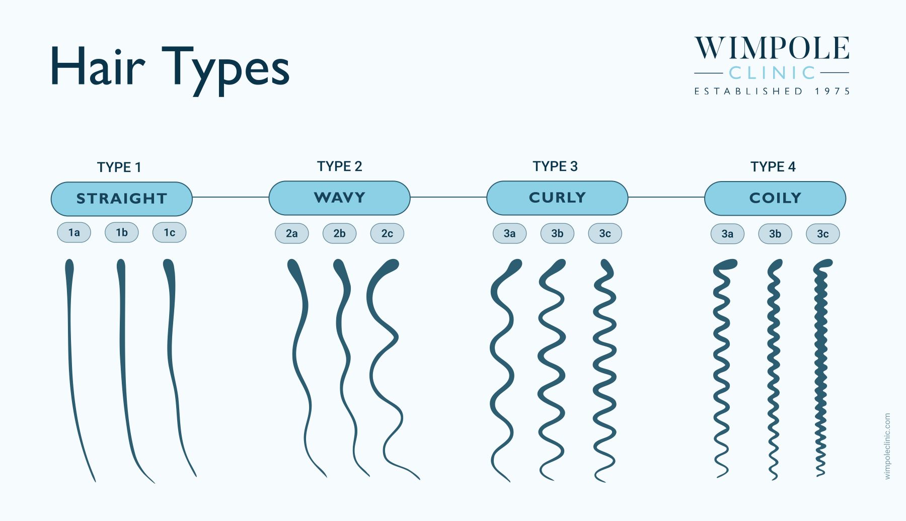 Hair Types