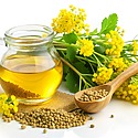 Mustard Oil For Hair Growth: An Evidence-Based Review