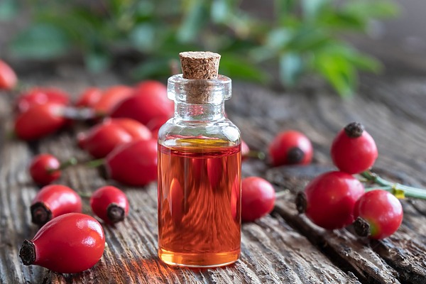 rosehip oil for hair
