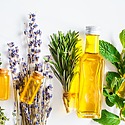 10 Best Diluted Rosemary Oil Blends For Hair Growth