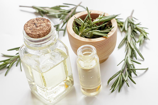 Diluted Rosemary Oil For Hair Featured Image