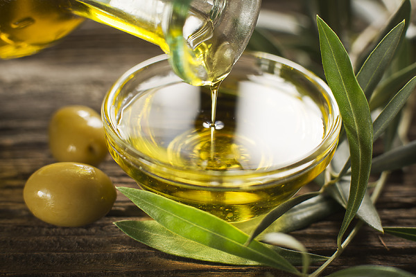 is olive oil good for hair featured image