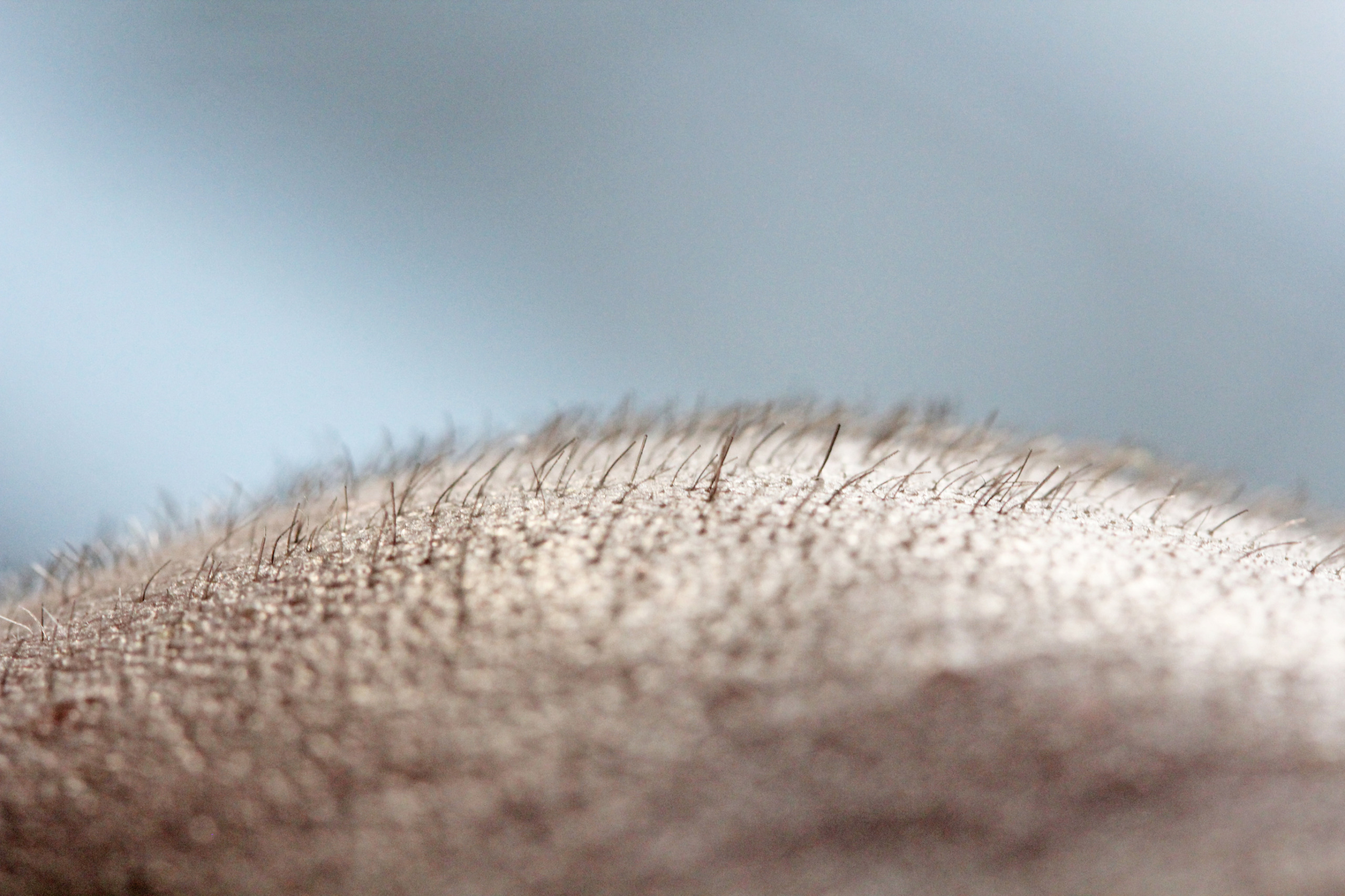 close up of hair on head