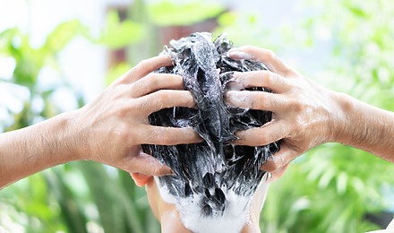 Best Shampoo And Conditioner For Hair Growth