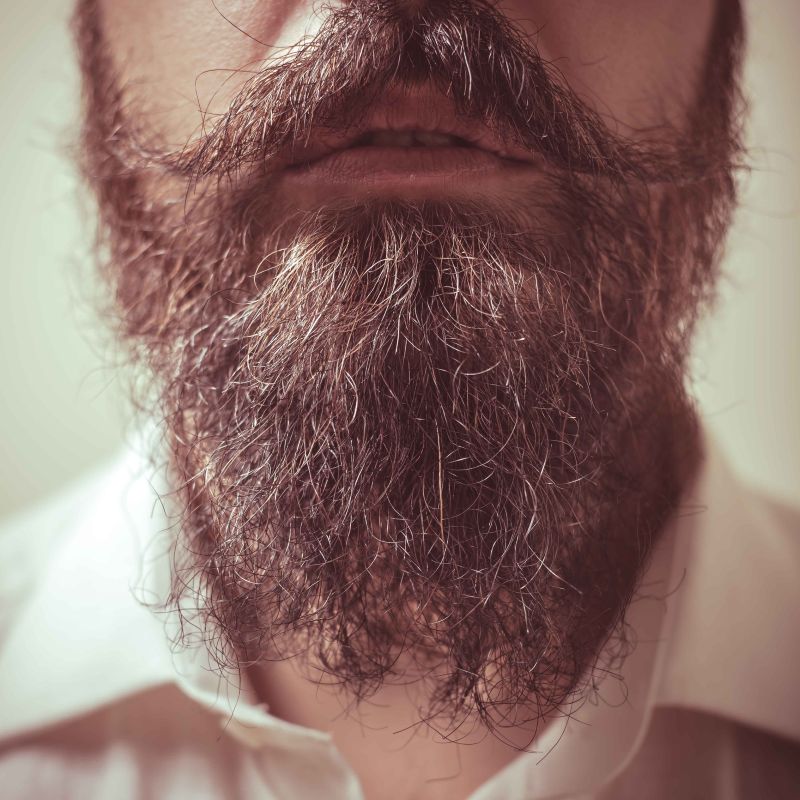 Damaged beard, with broken hairs and split ends
