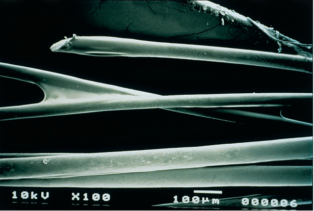 Hair damage with hairspray under the microscope
