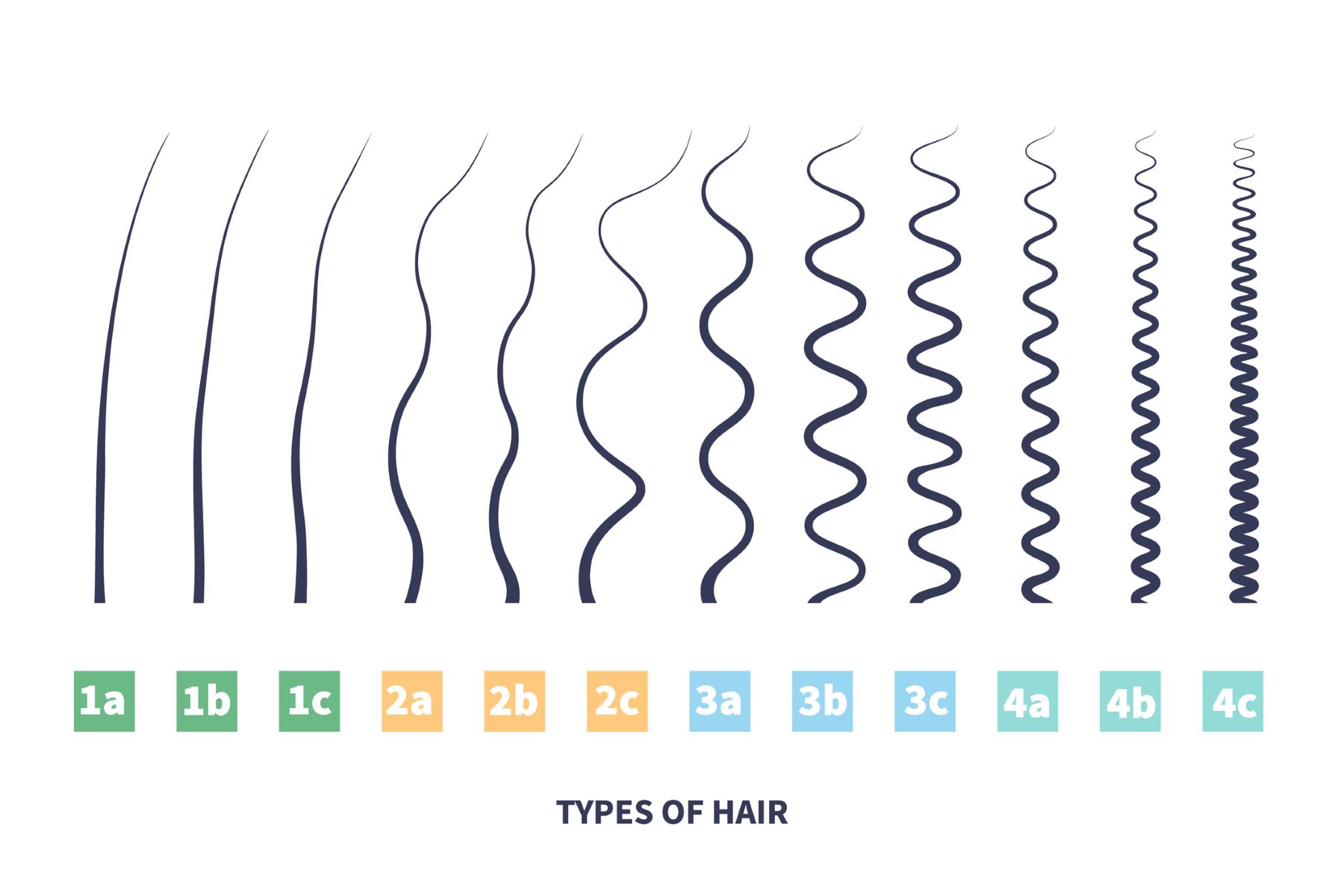 Hair type chart for straight to coily hair