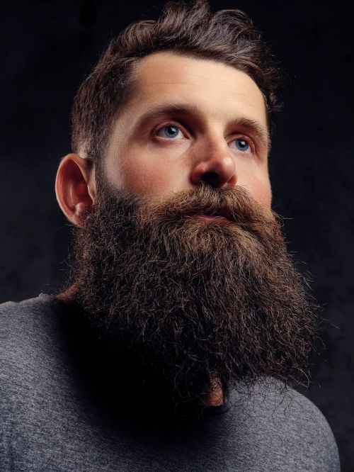 Man with a Garibaldi beard