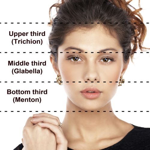 A well-balanced face split into three equal thirds