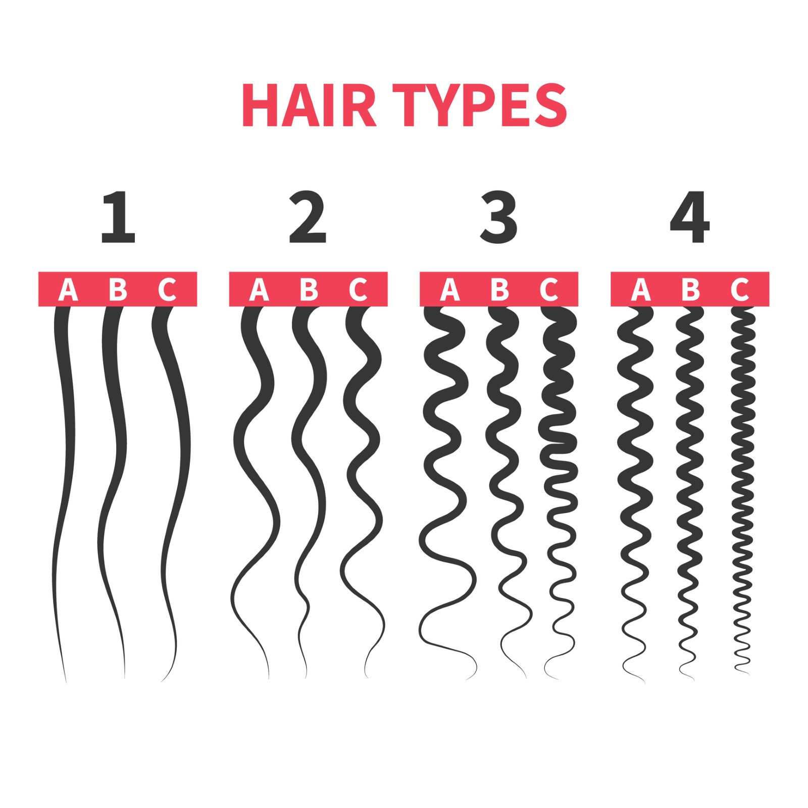 Hair type chart from 1a to 4c hair