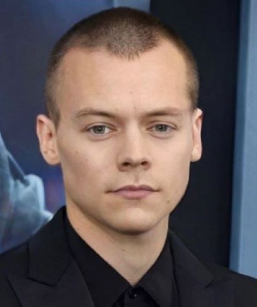 Harry Styles wearing a buzz cut