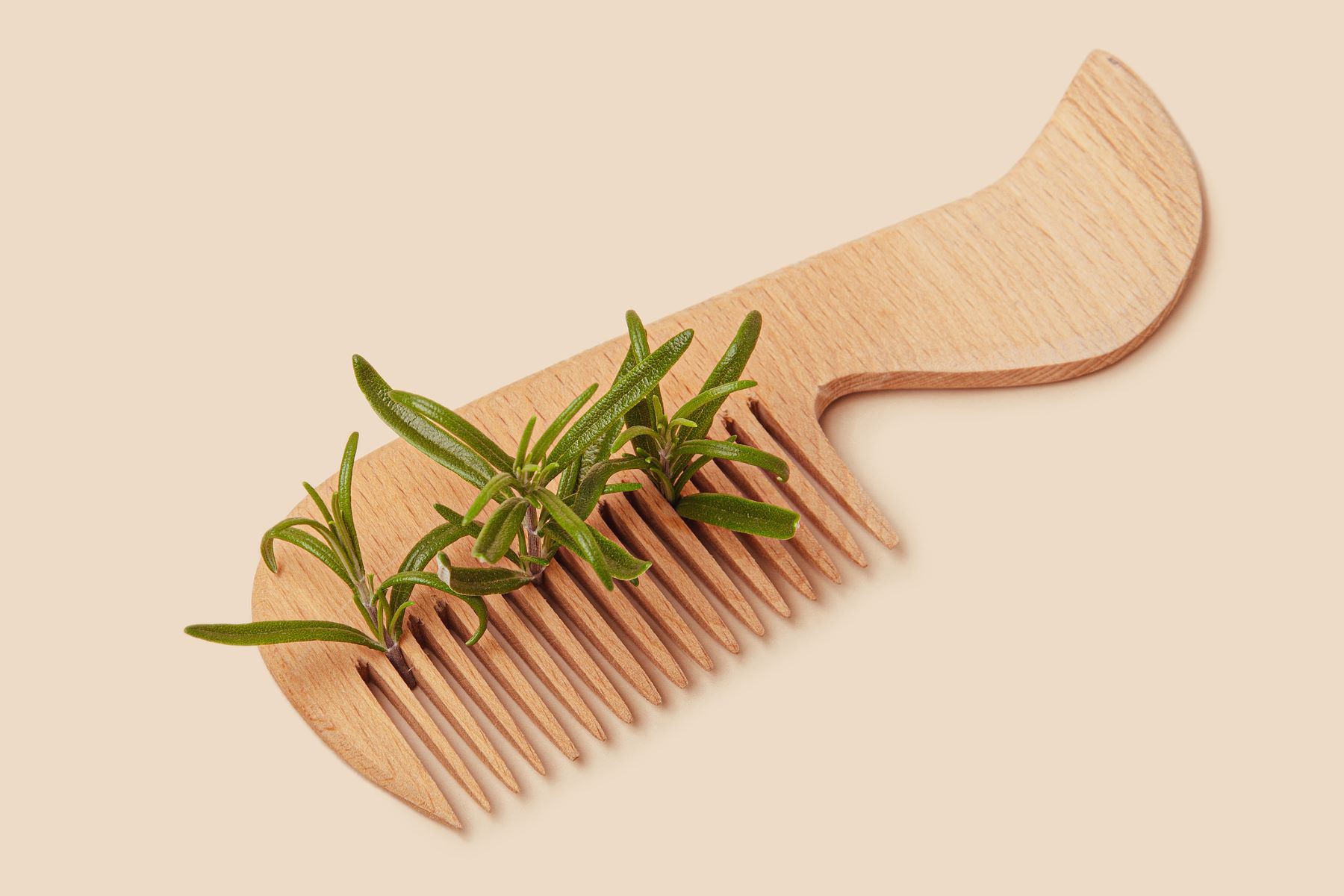 Rosemary for hair growth