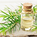 Tea Tree Oil For Hair: Benefits, Side Effects & Alternatives