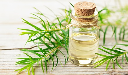 Tea Tree Oil For Hair