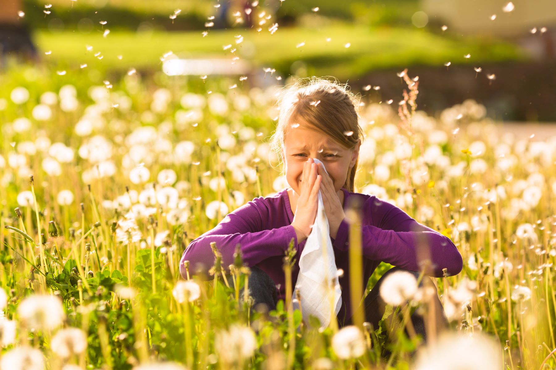 Hair Test for Allergies: How Well Does It Really Work?, Wimpole Clinic