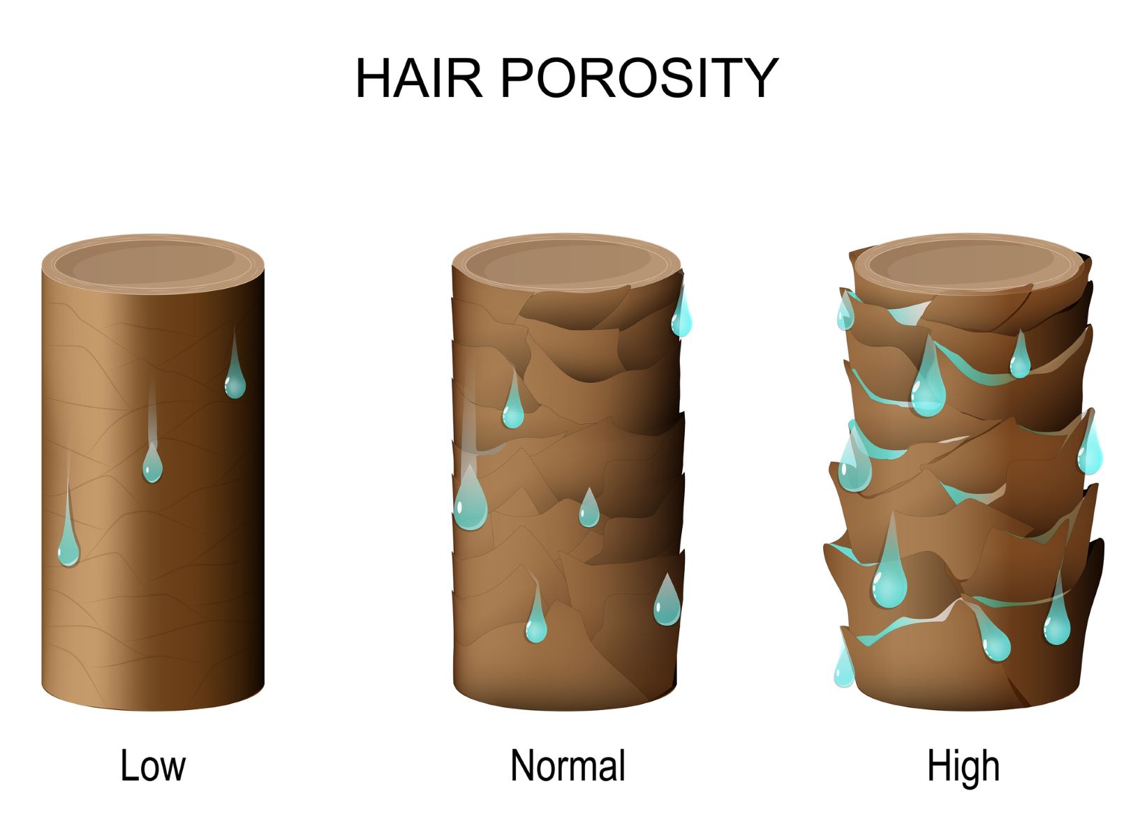 Low, normal, and high porosity hair