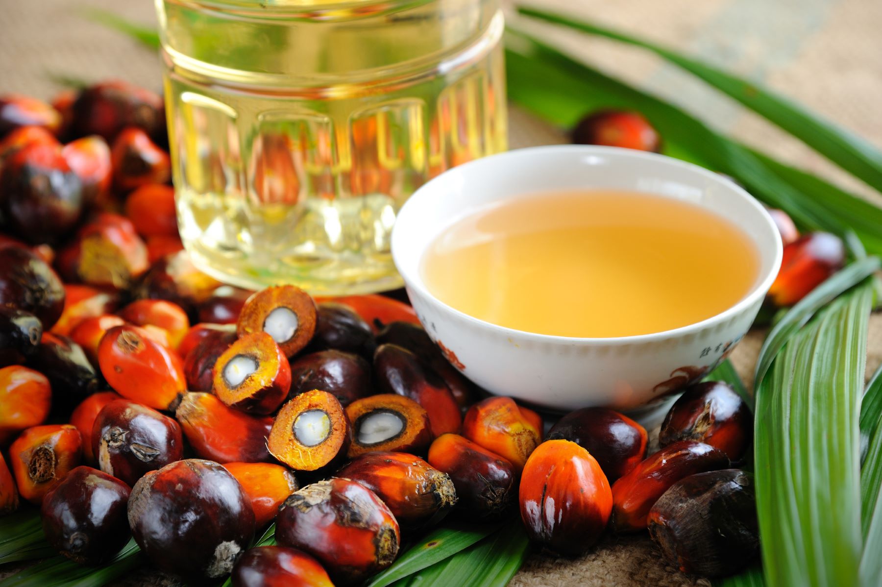 Batana Oil for Hair Growth: Benefits, Uses, Side Effects