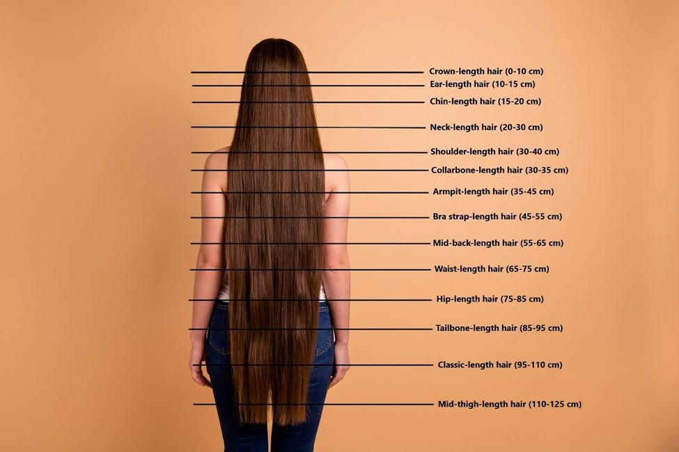 Hair length chart