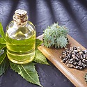 Is Castor Oil Good For Hair? The Definitive Guide