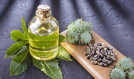 Is Castor Oil Good For Hair?