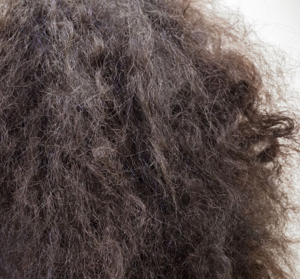 Matted hair caused by castor oil use