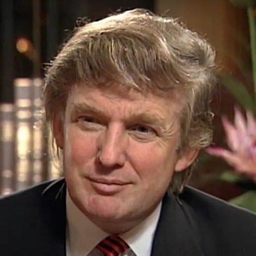 Trump hair 1993