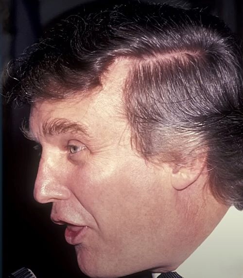 Trump hair age 40