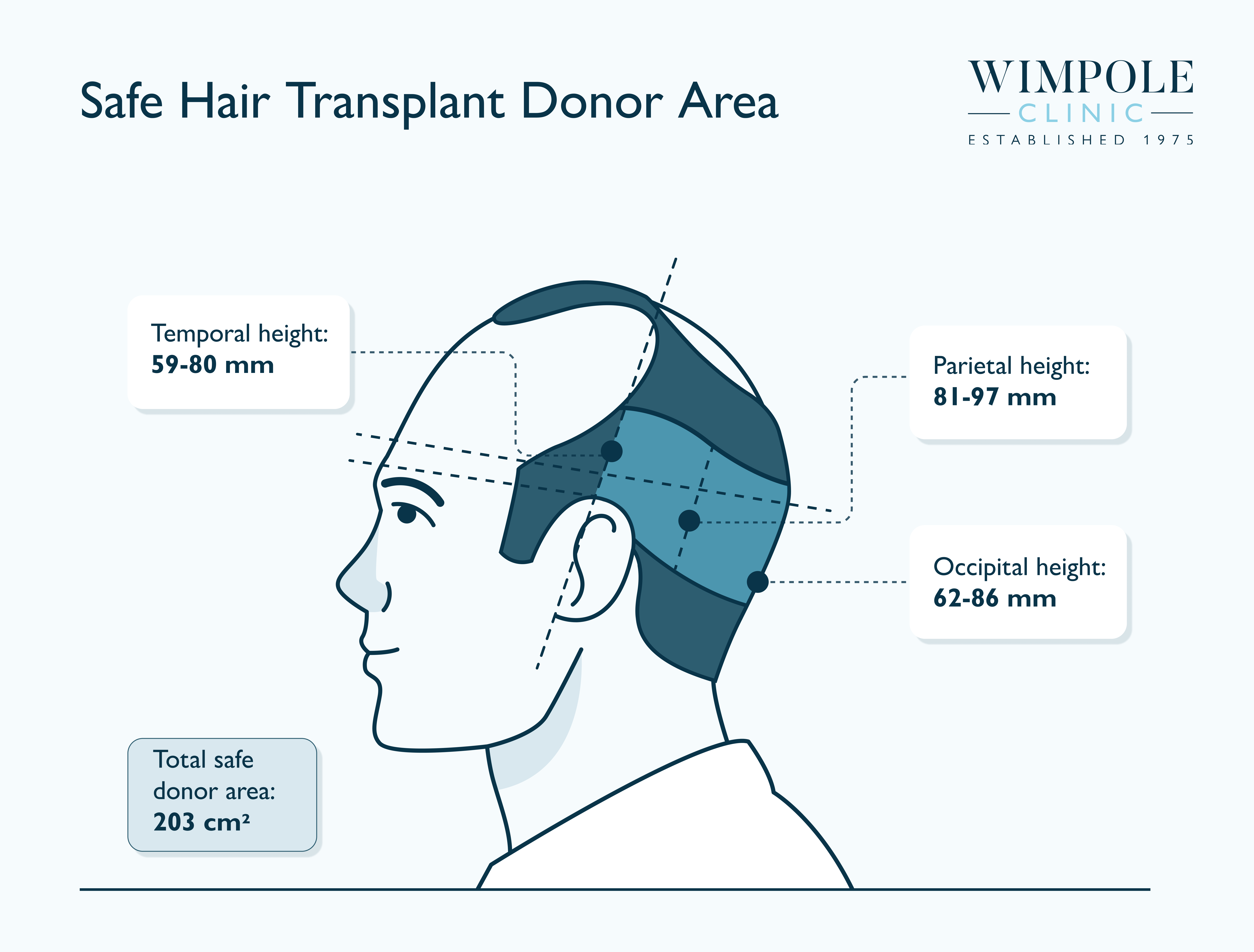 Safe Hair Transplant Donor Area