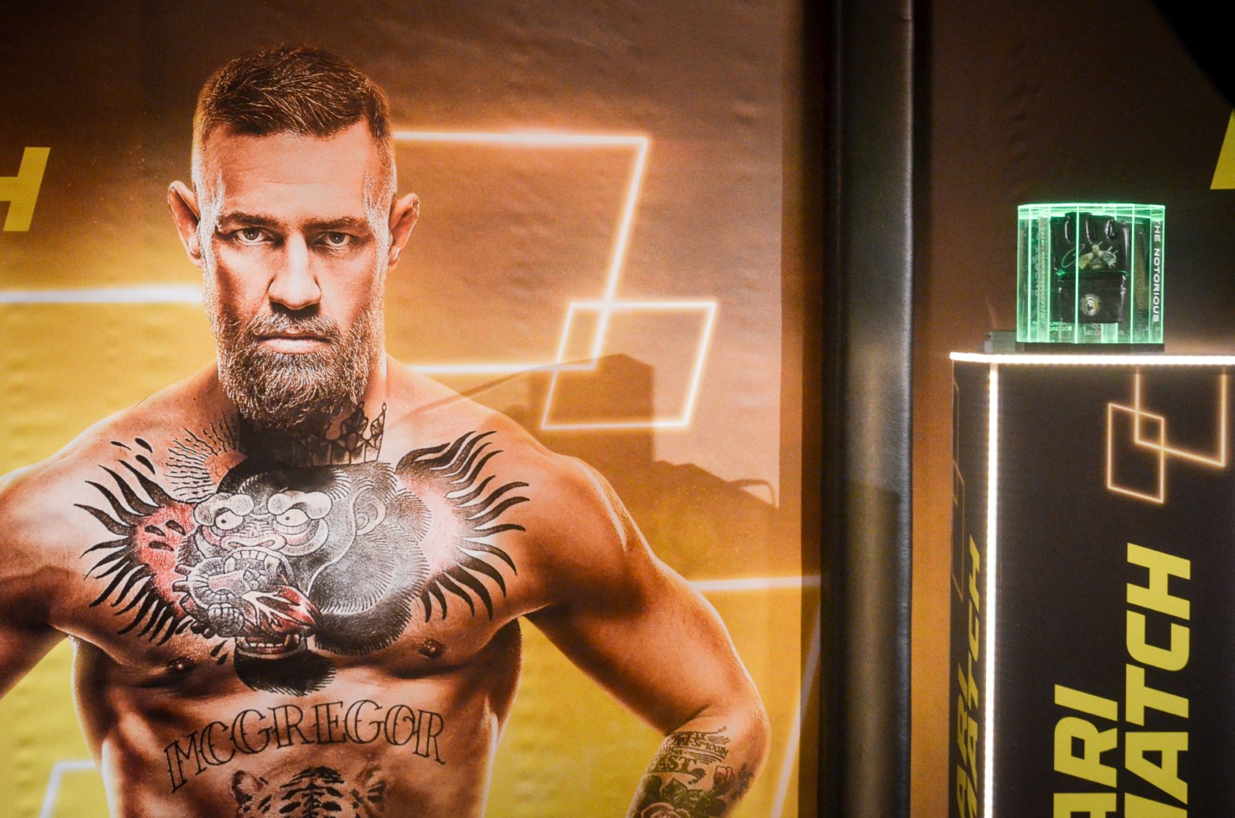 Connor McGregor during WWFC 14