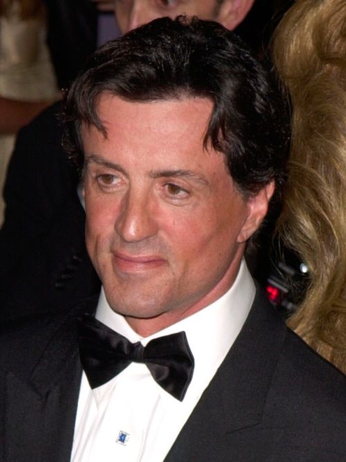 Sylvester Stallone’s hair in 2000