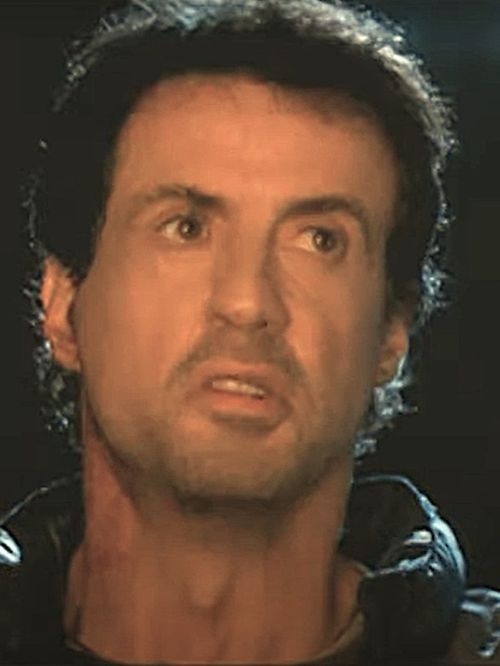 Sylvester Stallone’s hair in 2002