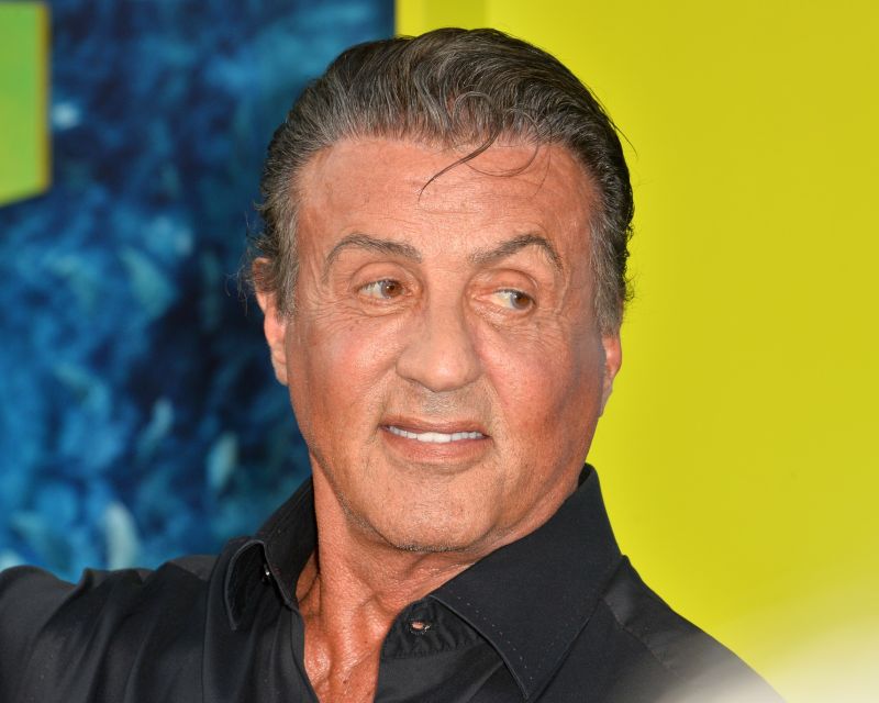 Sylvester Stallone’s hair in 2018