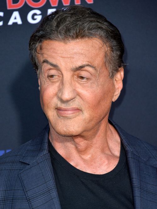Sylvester Stallone’s hair in 2019