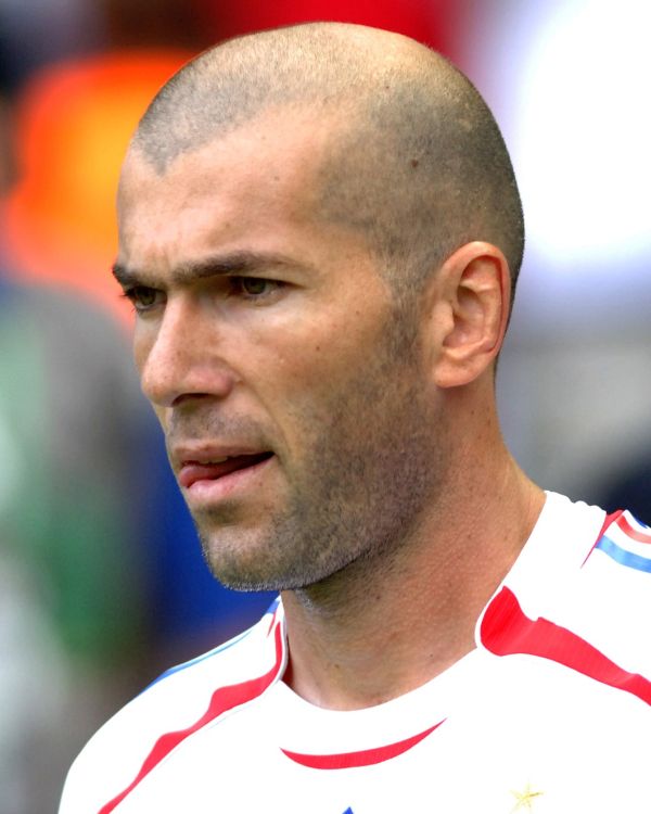 Zidane’s hair in 2006