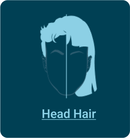 head hair icon