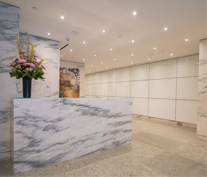 Hair Transplant Consultation &#038; Care New York, Wimpole Clinic
