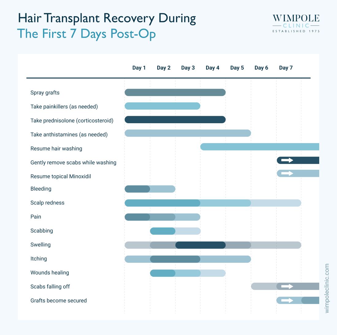 Hair transplant recovery during the first 7 days post-op